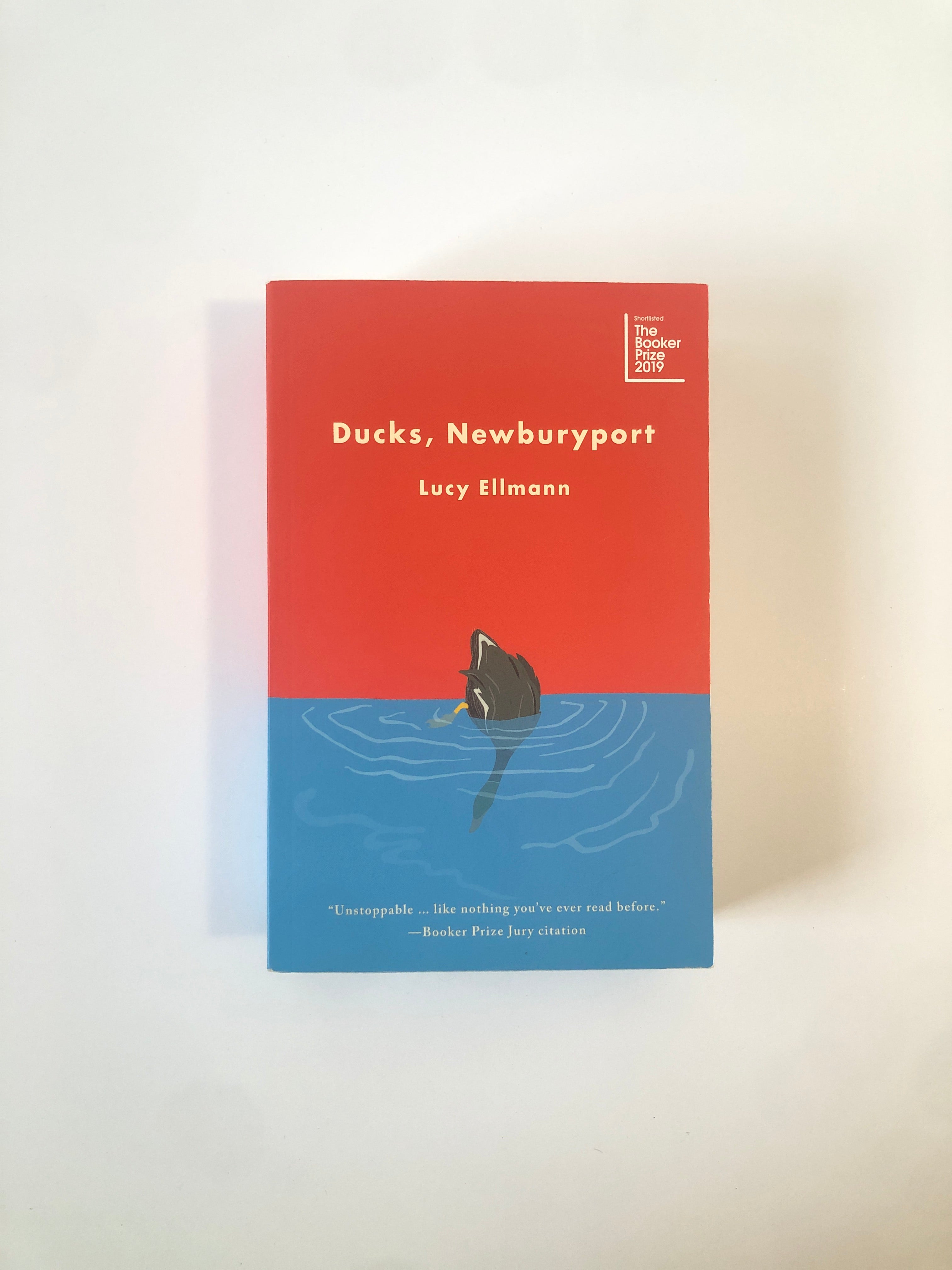 Ducks, Newburyport by Lucy Ellmann