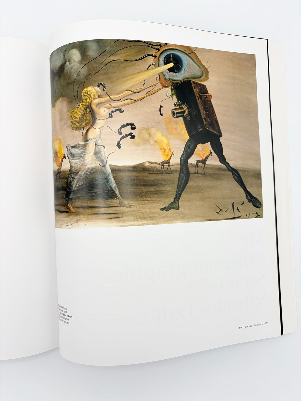 Dalí & Film edited by Matthew Gale