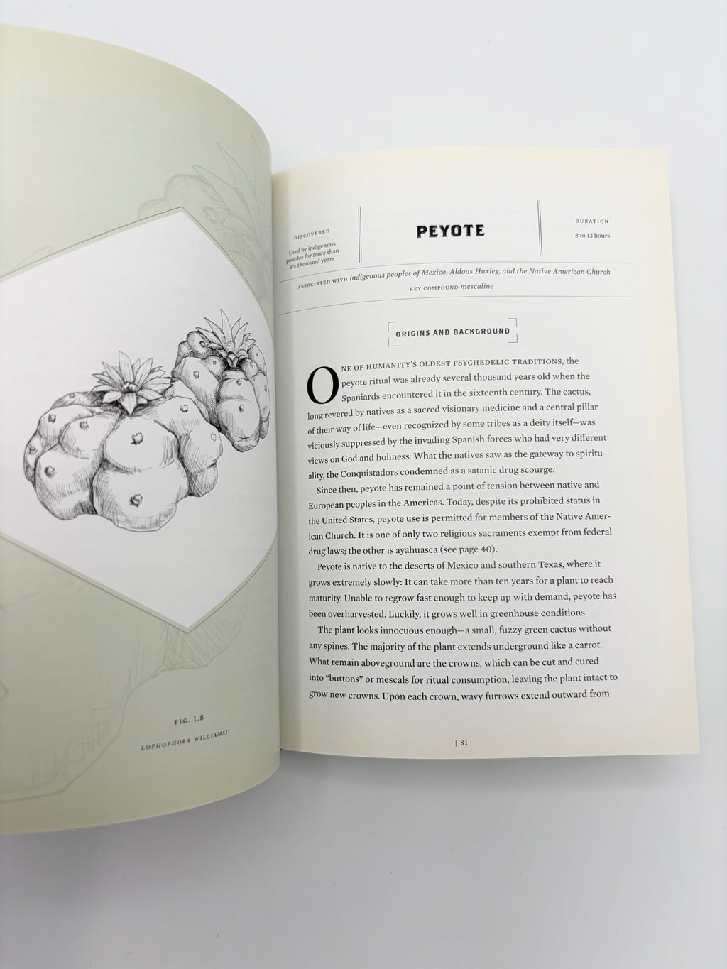 Magic Medicine - A Trip Through the Intoxicating History and Modern-Day Use of Psychedelic Plants & Substances by Cody Johnson