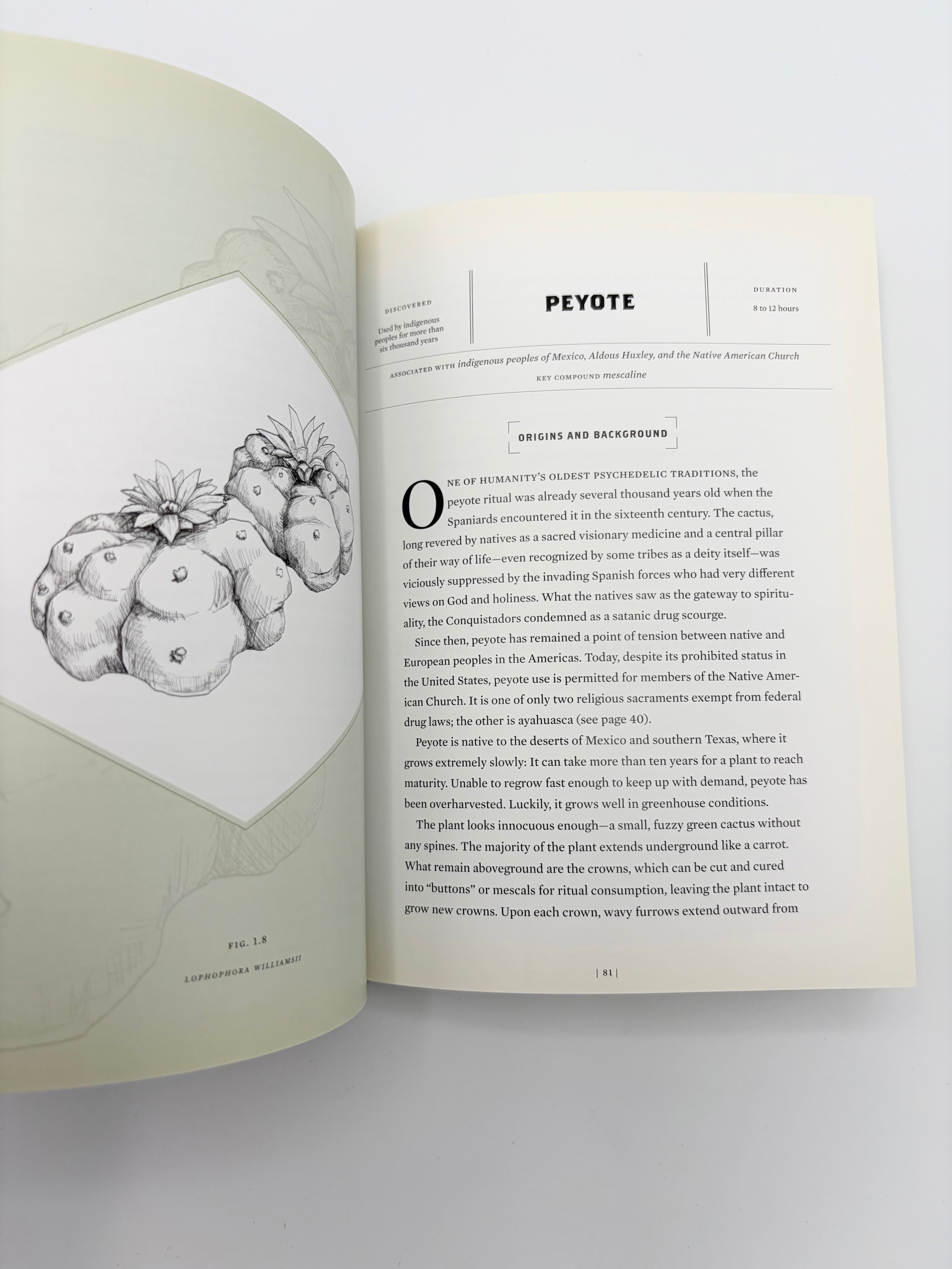 Magic Medicine - A Trip Through the Intoxicating History and Modern-Day Use of Psychedelic Plants & Substances by Cody Johnson