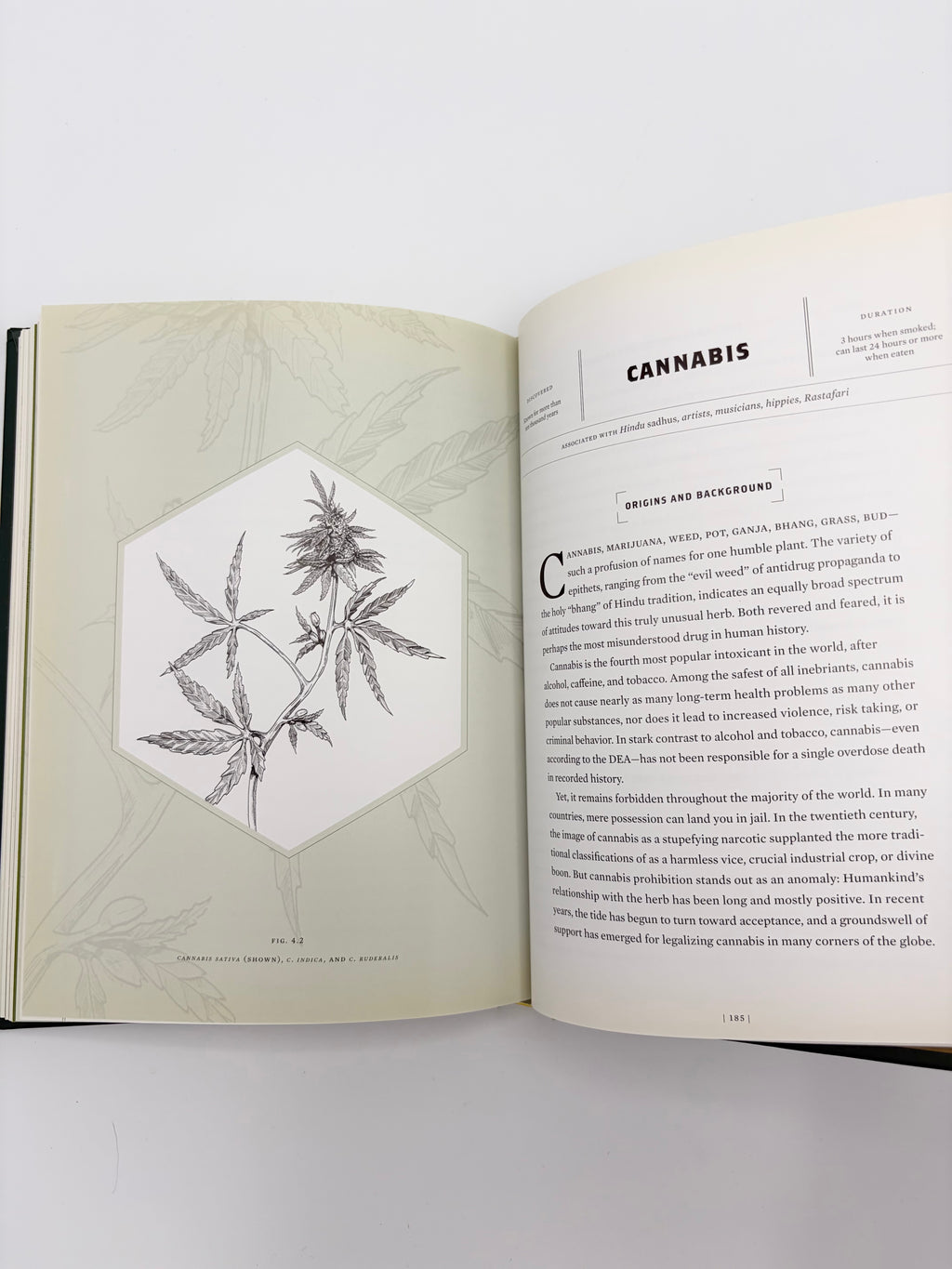 Magic Medicine - A Trip Through the Intoxicating History and Modern-Day Use of Psychedelic Plants & Substances by Cody Johnson