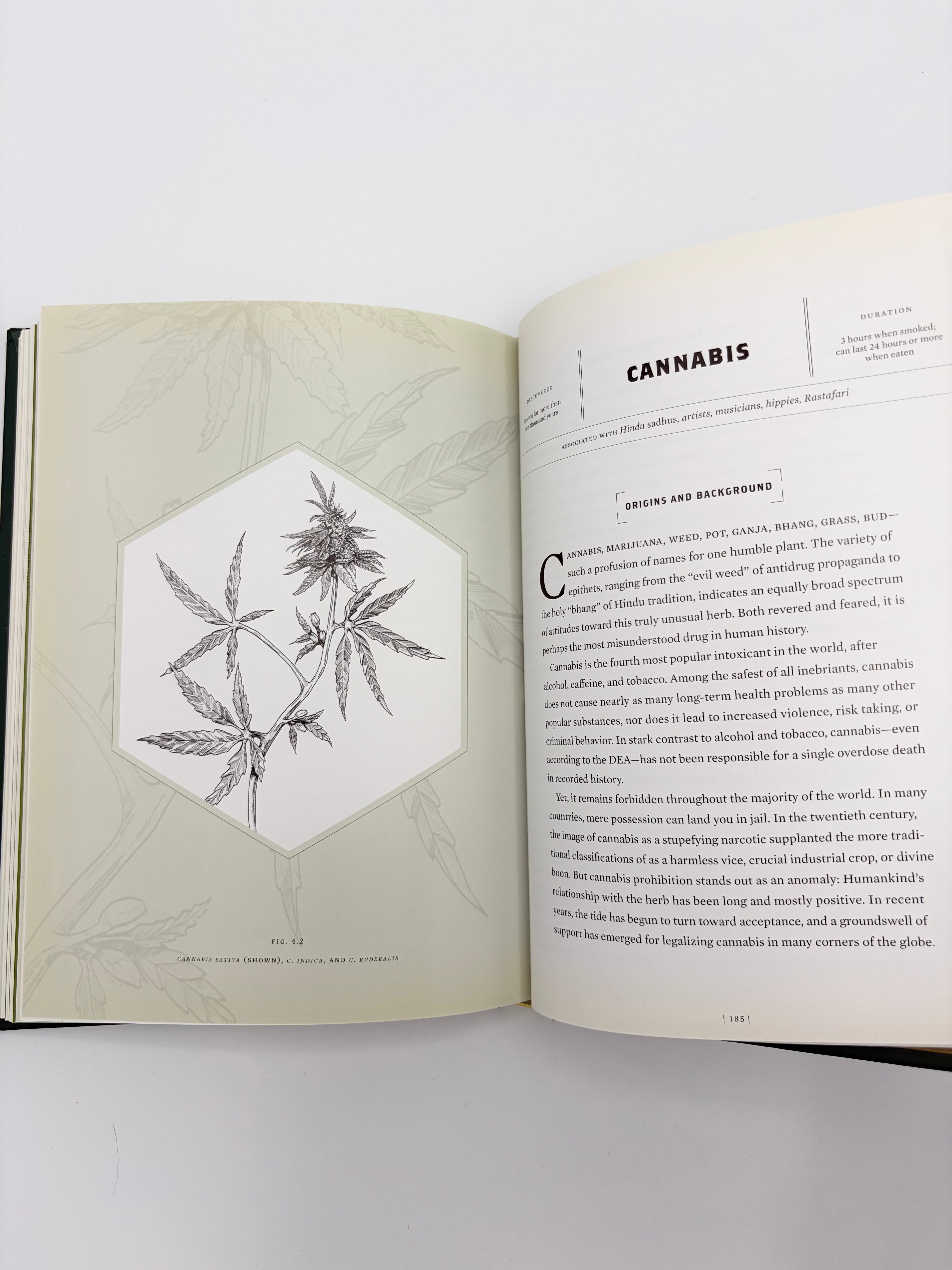 Magic Medicine - A Trip Through the Intoxicating History and Modern-Day Use of Psychedelic Plants & Substances by Cody Johnson