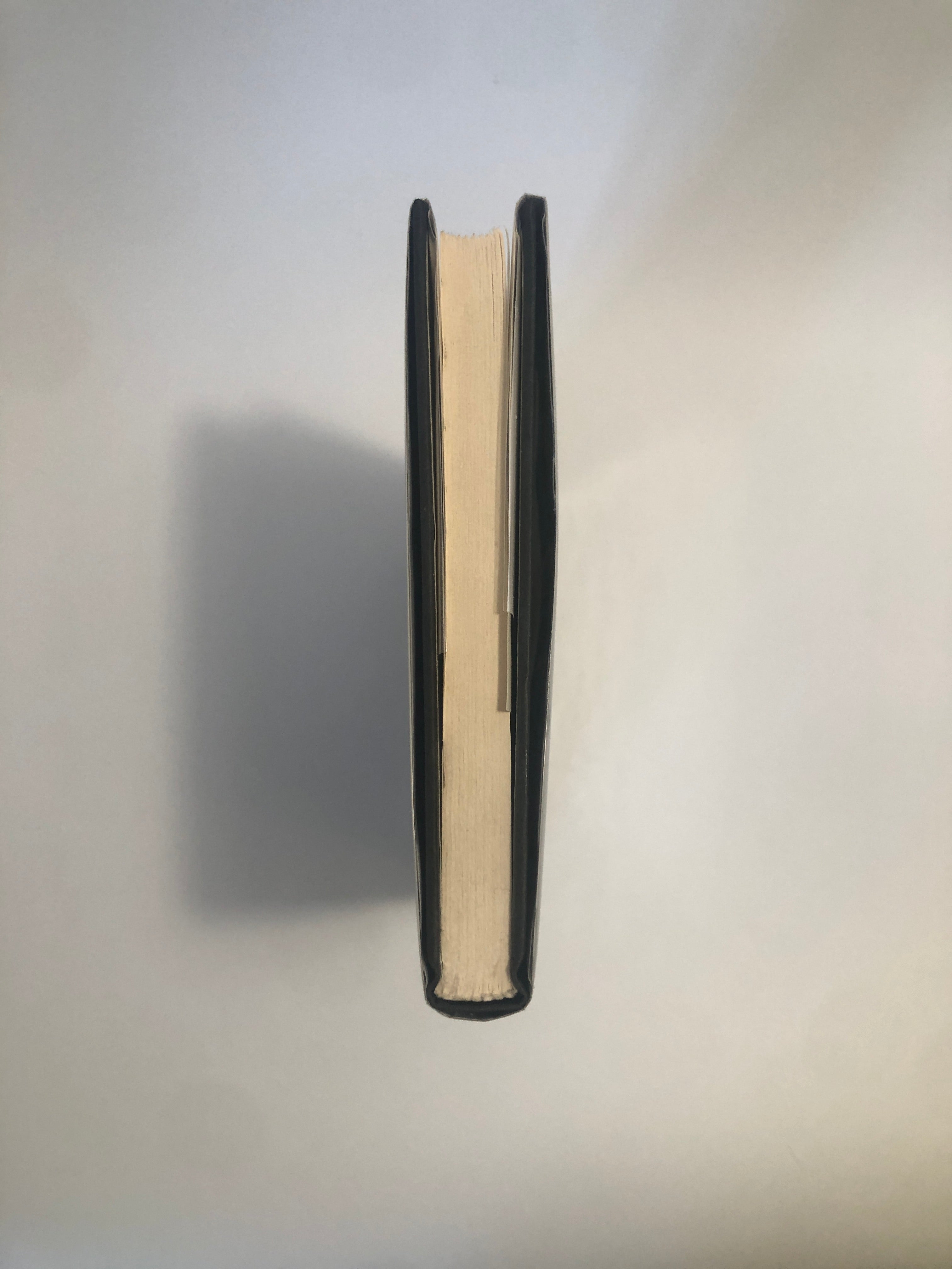 Aliens by Alan Dean Foster