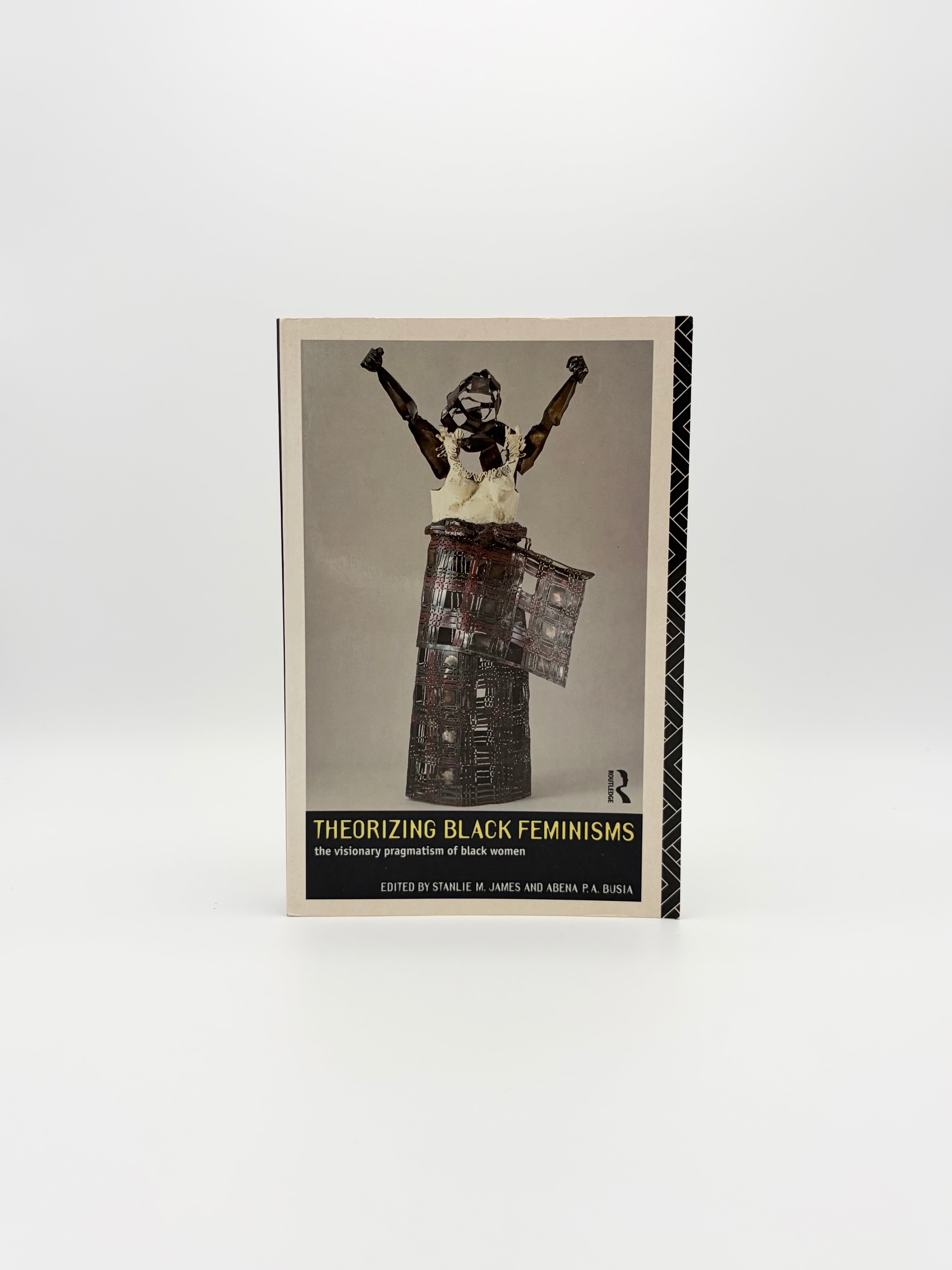 Theorizing Black Feminisms - The Visionary Pragmatism of Black Women edited by Stanlie M. James and Abena P.A. Busia