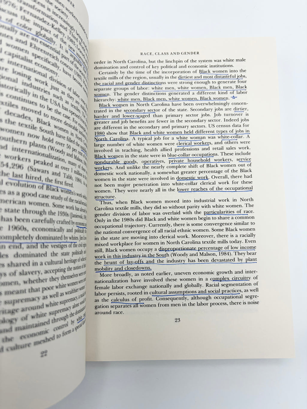 Theorizing Black Feminisms - The Visionary Pragmatism of Black Women edited by Stanlie M. James and Abena P.A. Busia