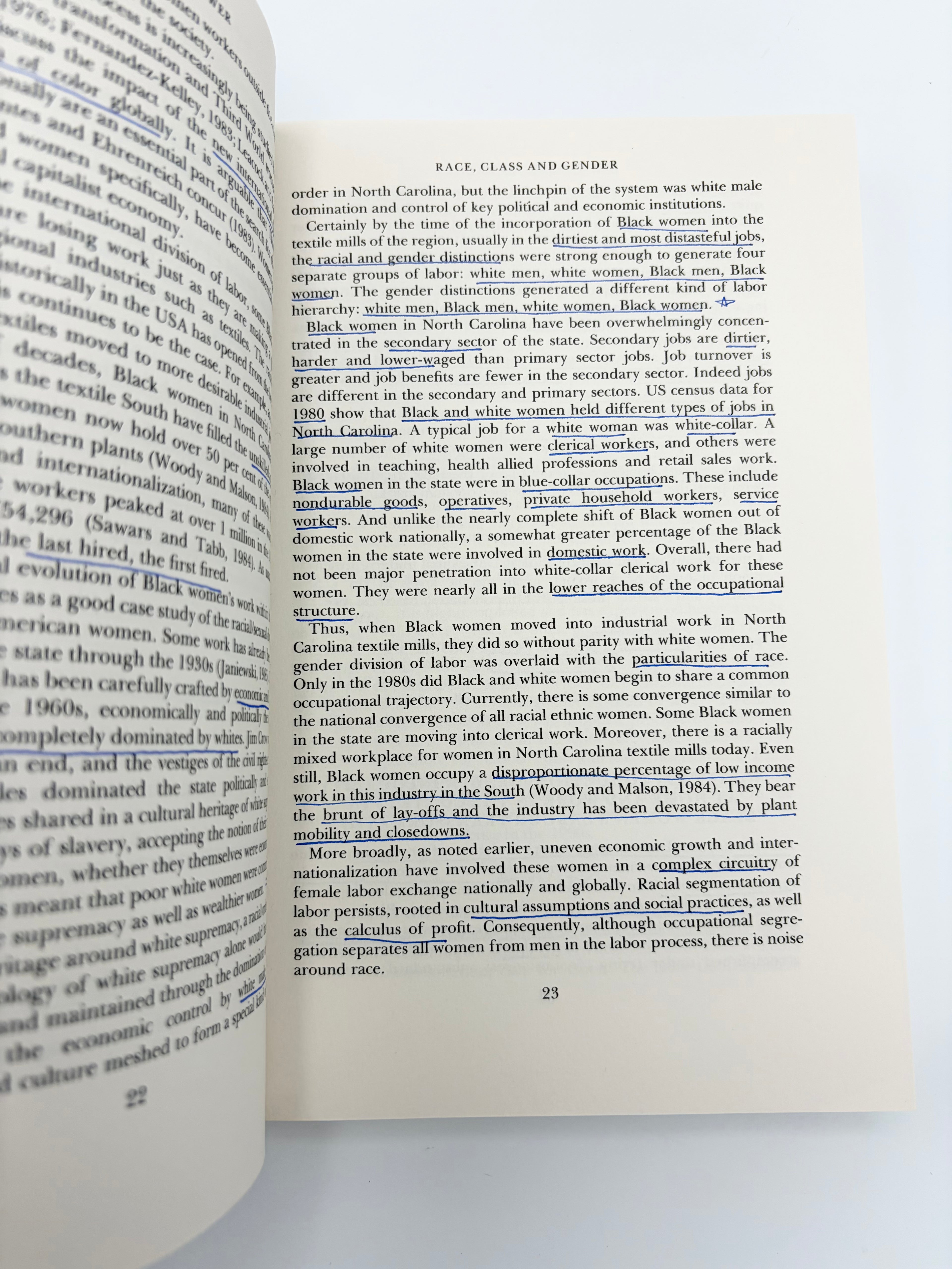 Theorizing Black Feminisms - The Visionary Pragmatism of Black Women edited by Stanlie M. James and Abena P.A. Busia