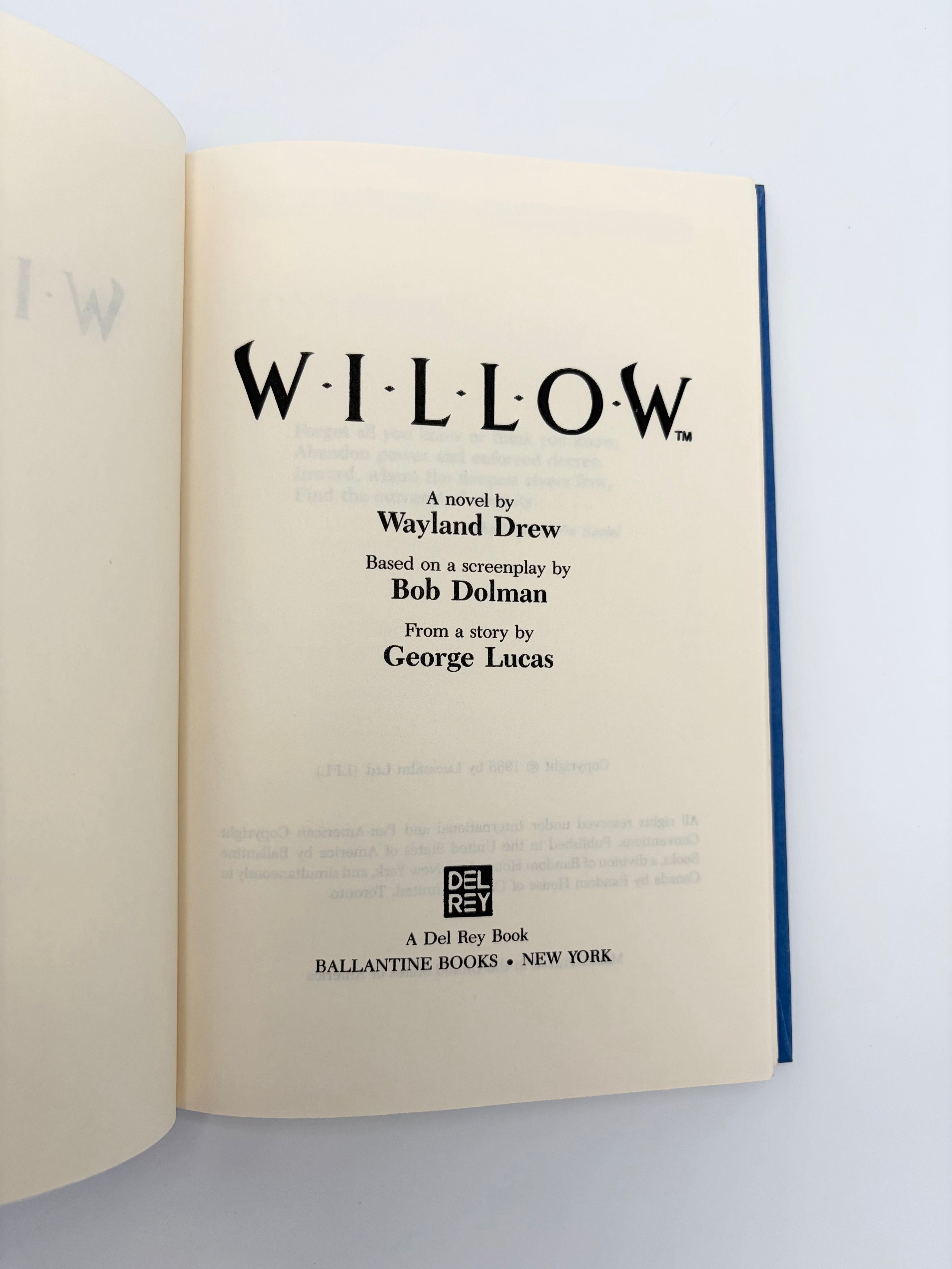 Willow by Wayland Drew based on a screenplay by Bob Dolman