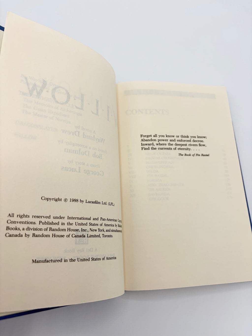Willow by Wayland Drew based on a screenplay by Bob Dolman
