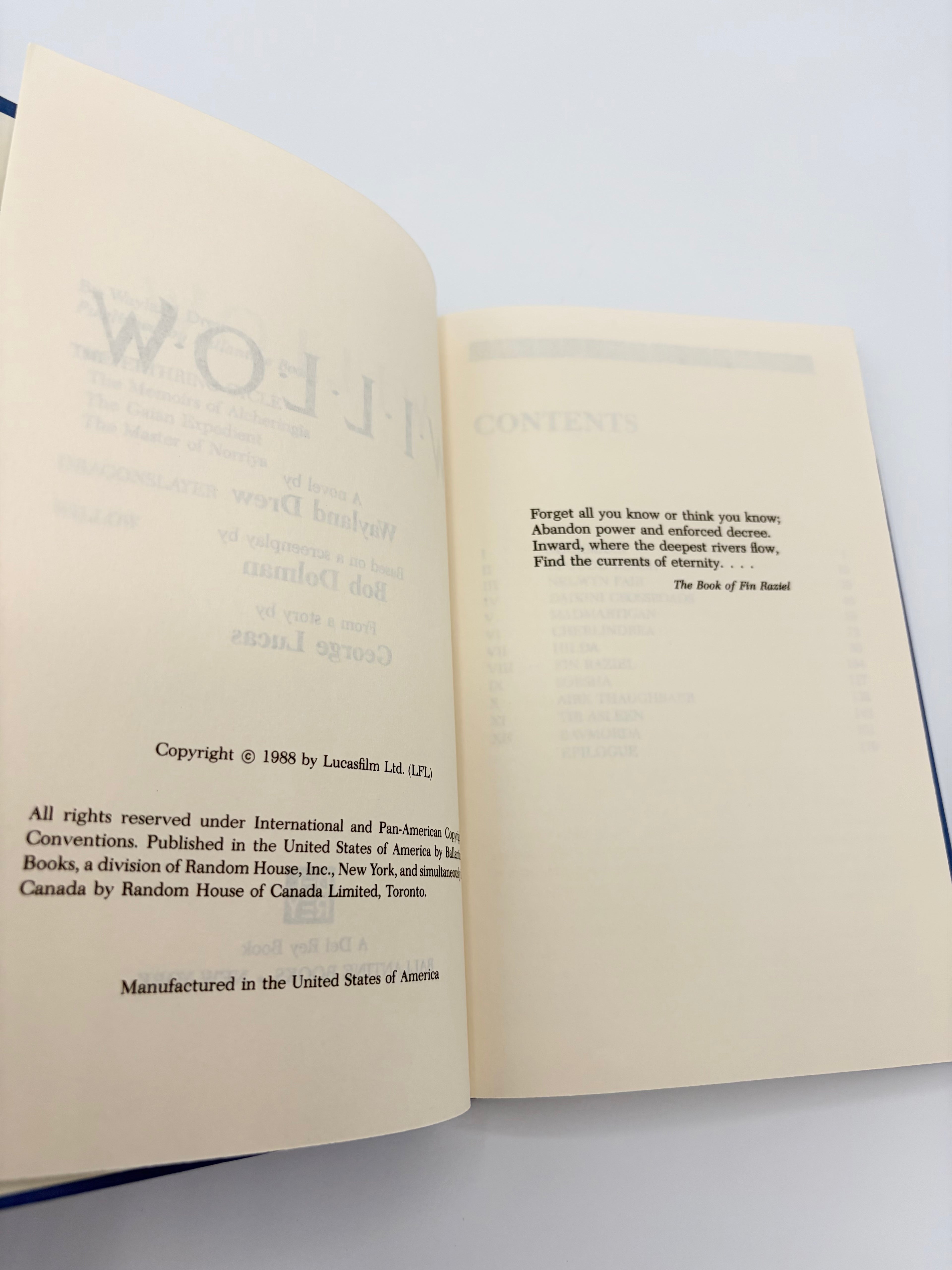 Willow by Wayland Drew based on a screenplay by Bob Dolman