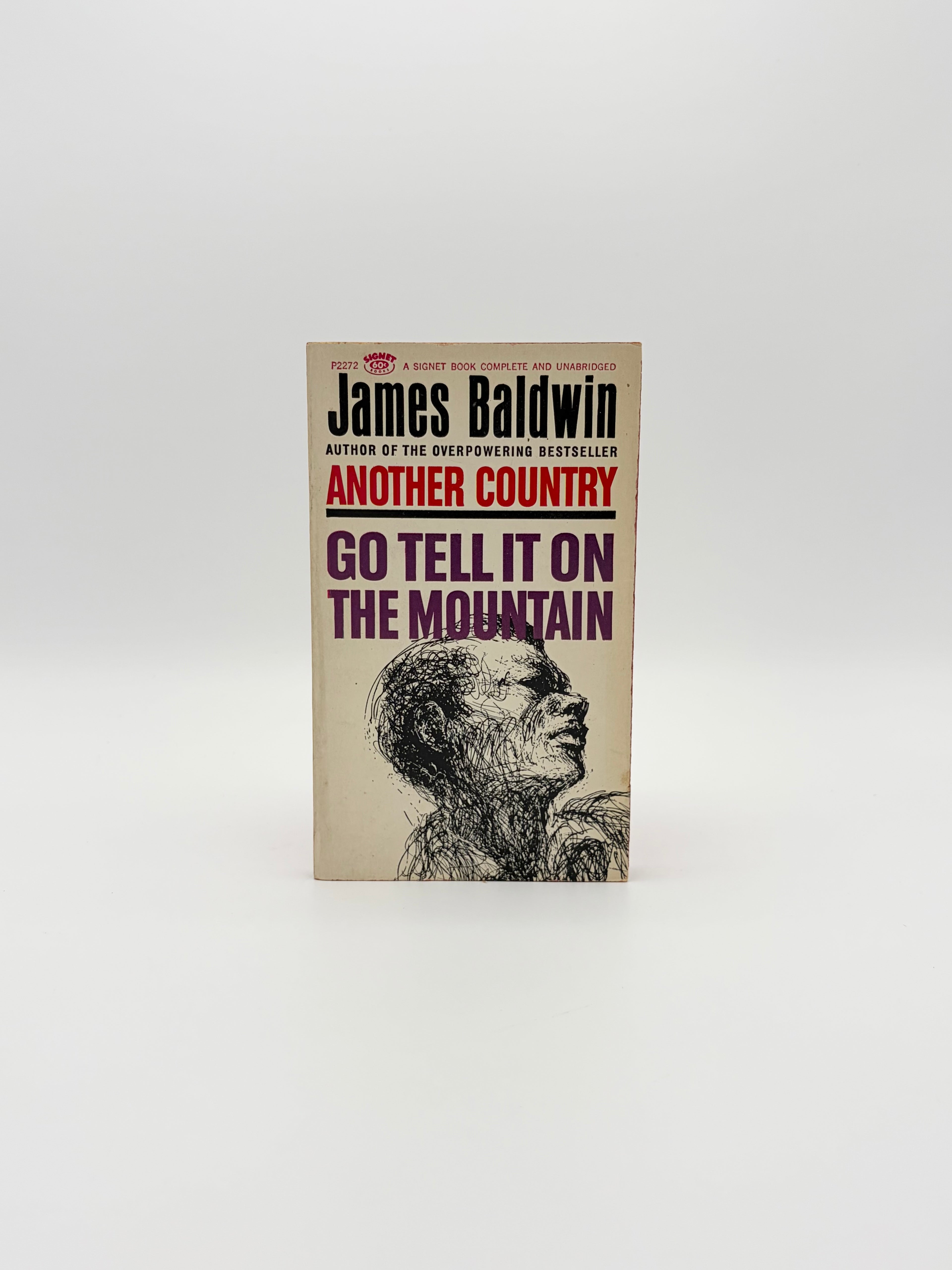 Go Tell It on the Mountain by James Baldwin