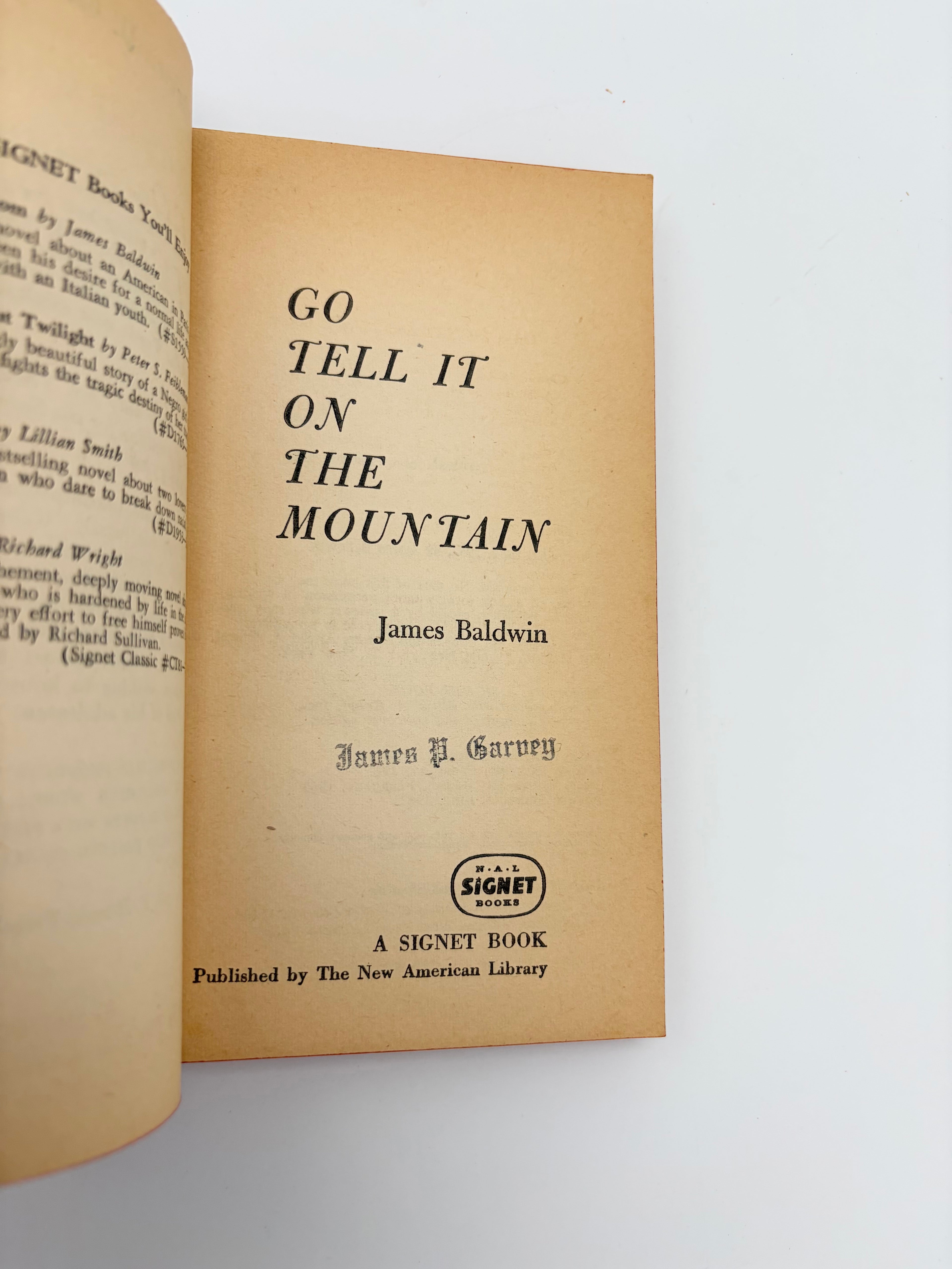 Go Tell It on the Mountain by James Baldwin