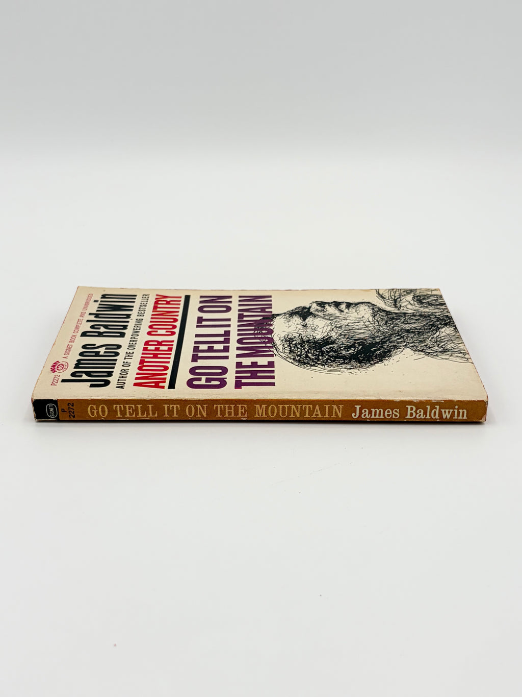 Go Tell It on the Mountain by James Baldwin