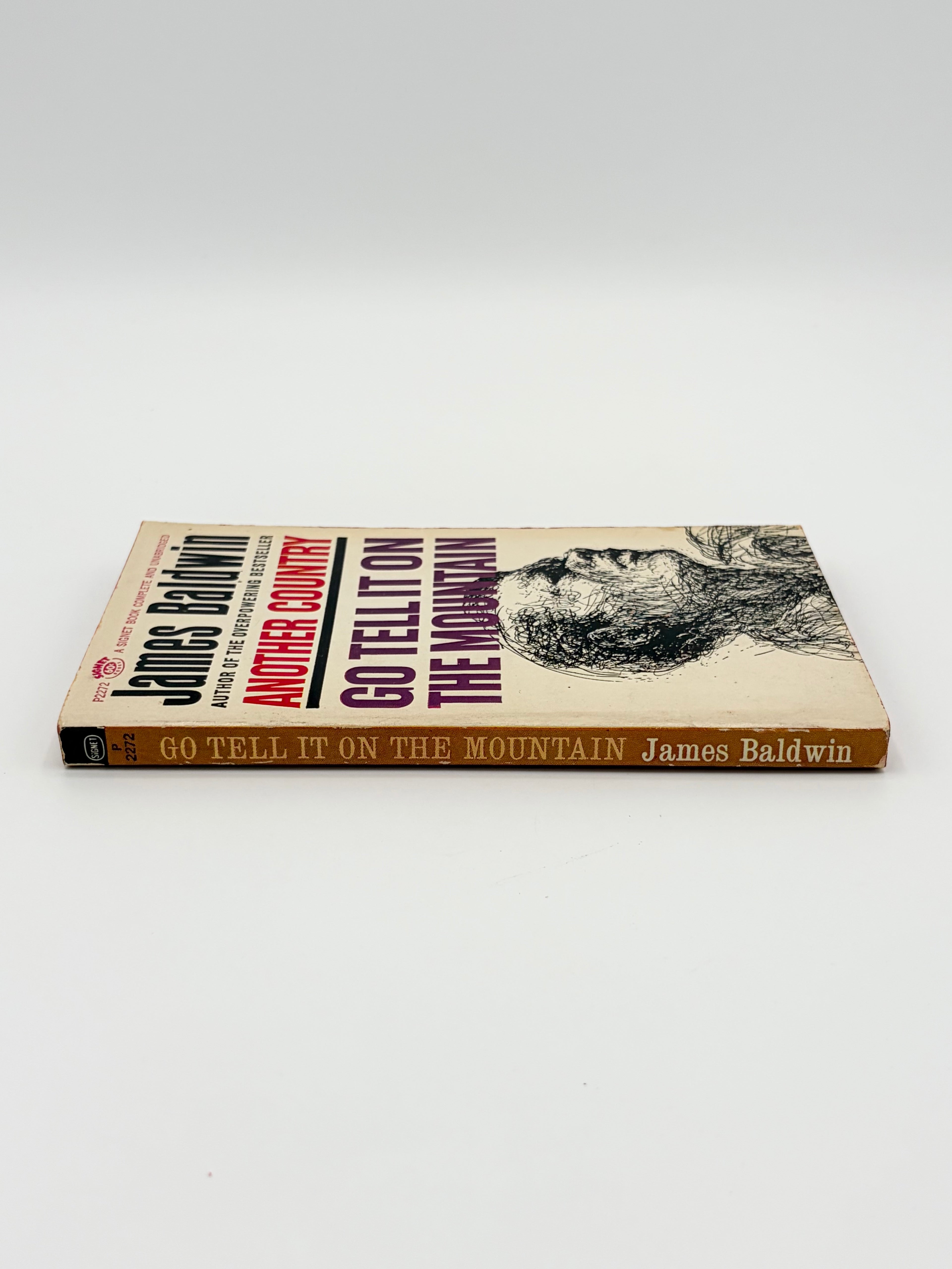 Go Tell It on the Mountain by James Baldwin