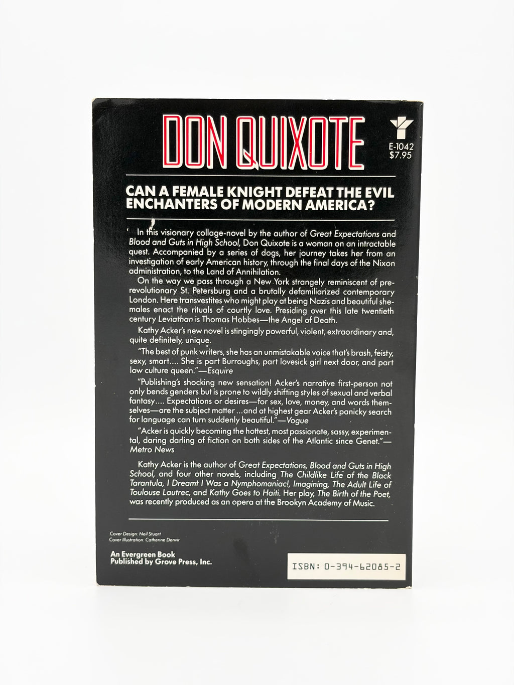 Don Quixote, which was a dream by Kathy Acker
