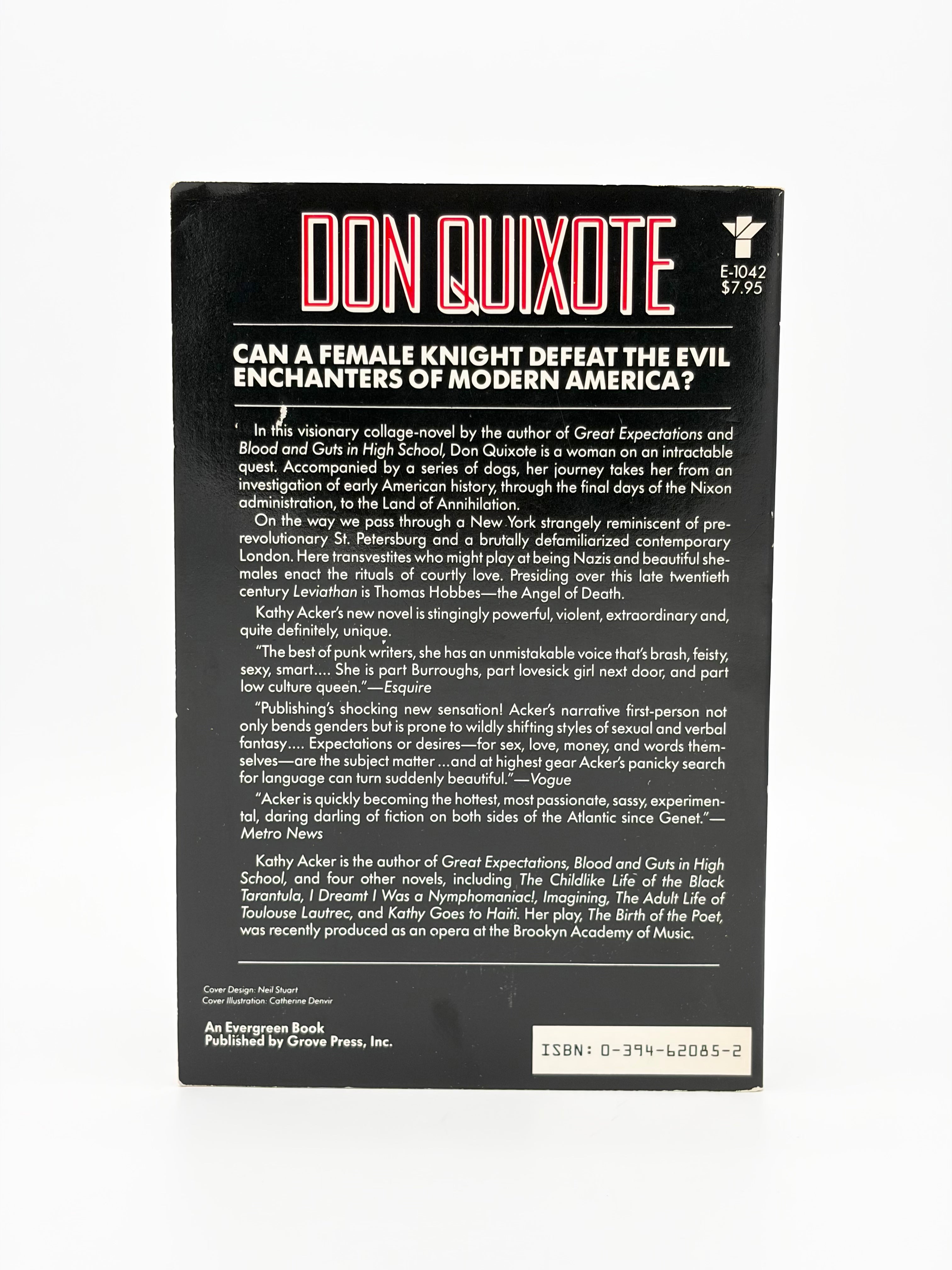 Don Quixote, which was a dream by Kathy Acker