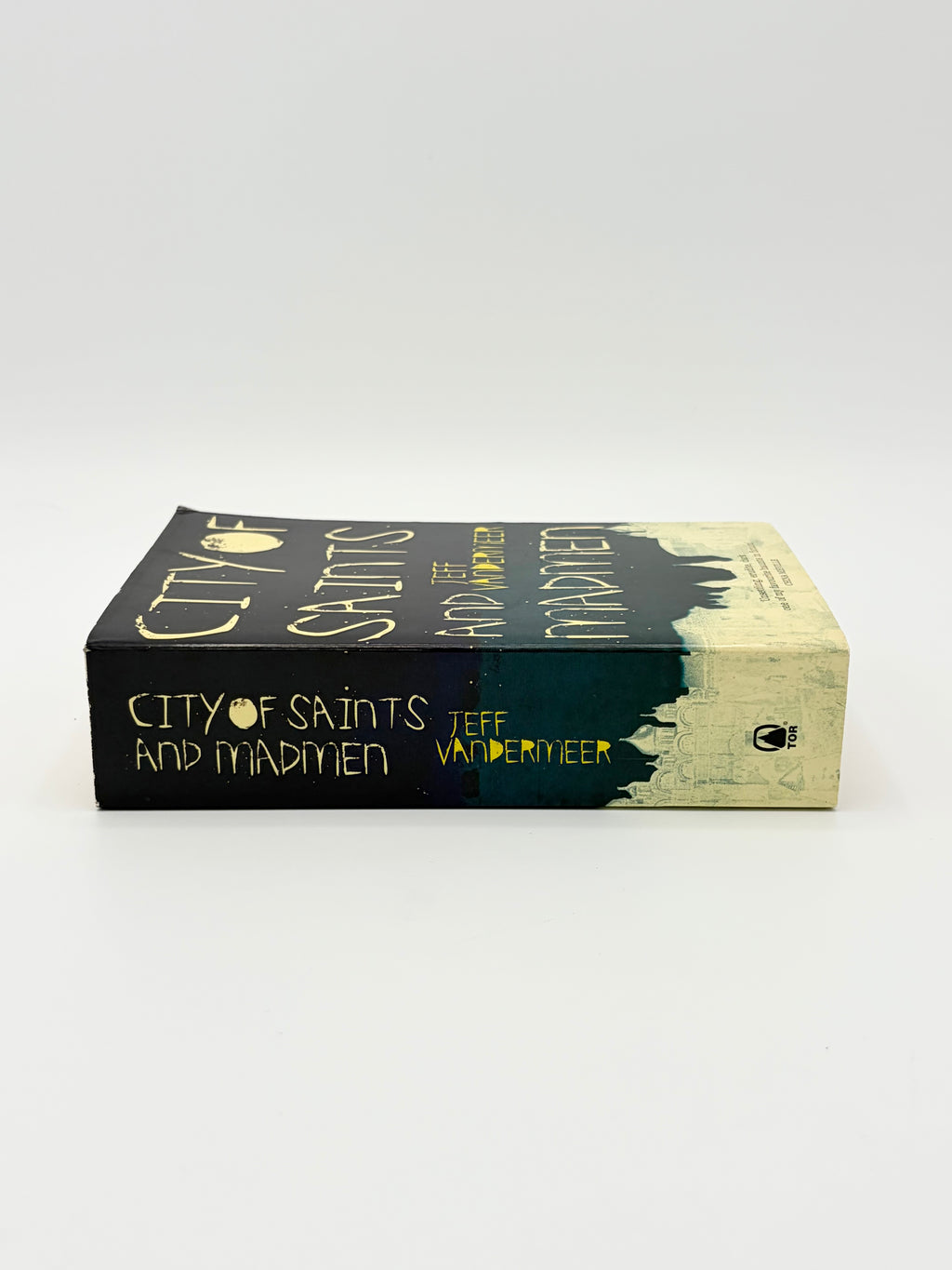 City of Saints and Madmen by Jeff Vandermeer