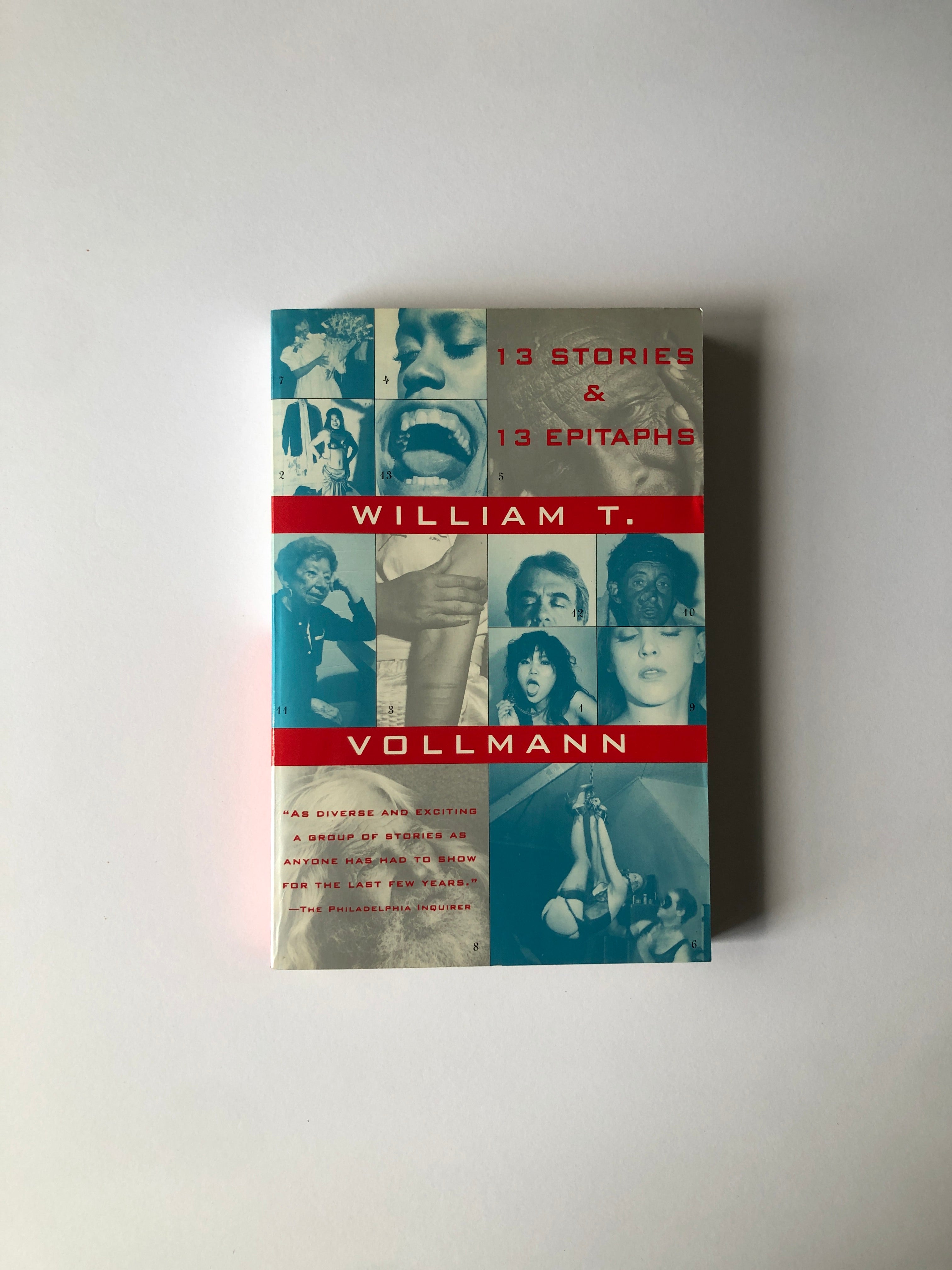 13 Stories & 13 Epitaphs by William T. Vollmann