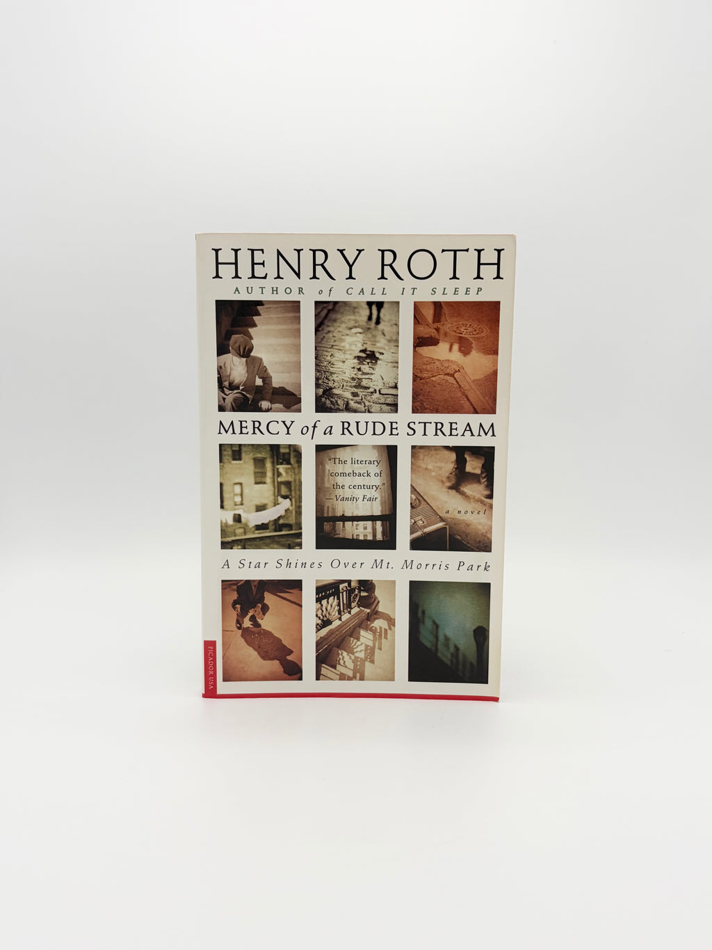 Mercy of a Rude Stream by Henry Roth