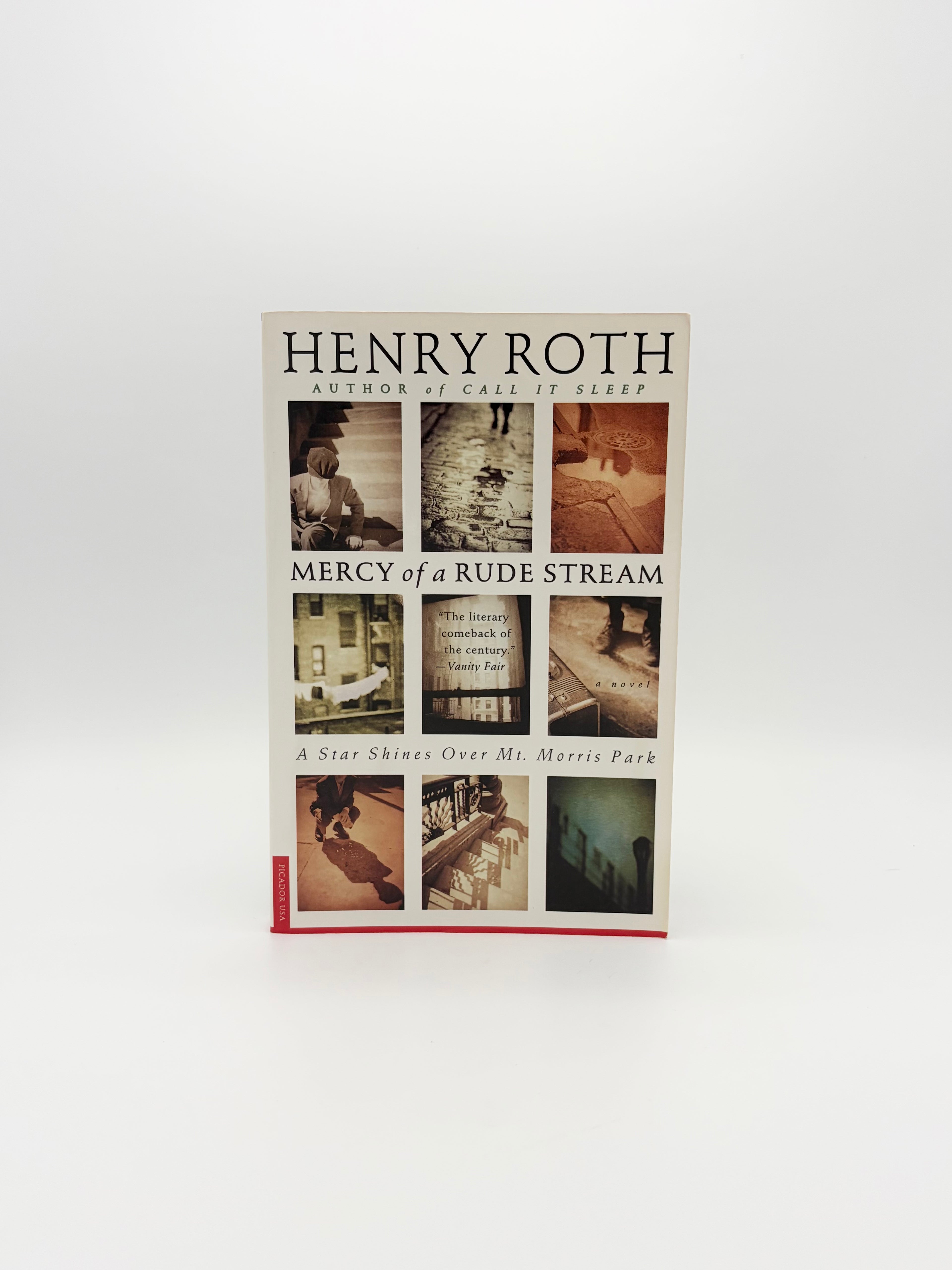 Mercy of a Rude Stream by Henry Roth