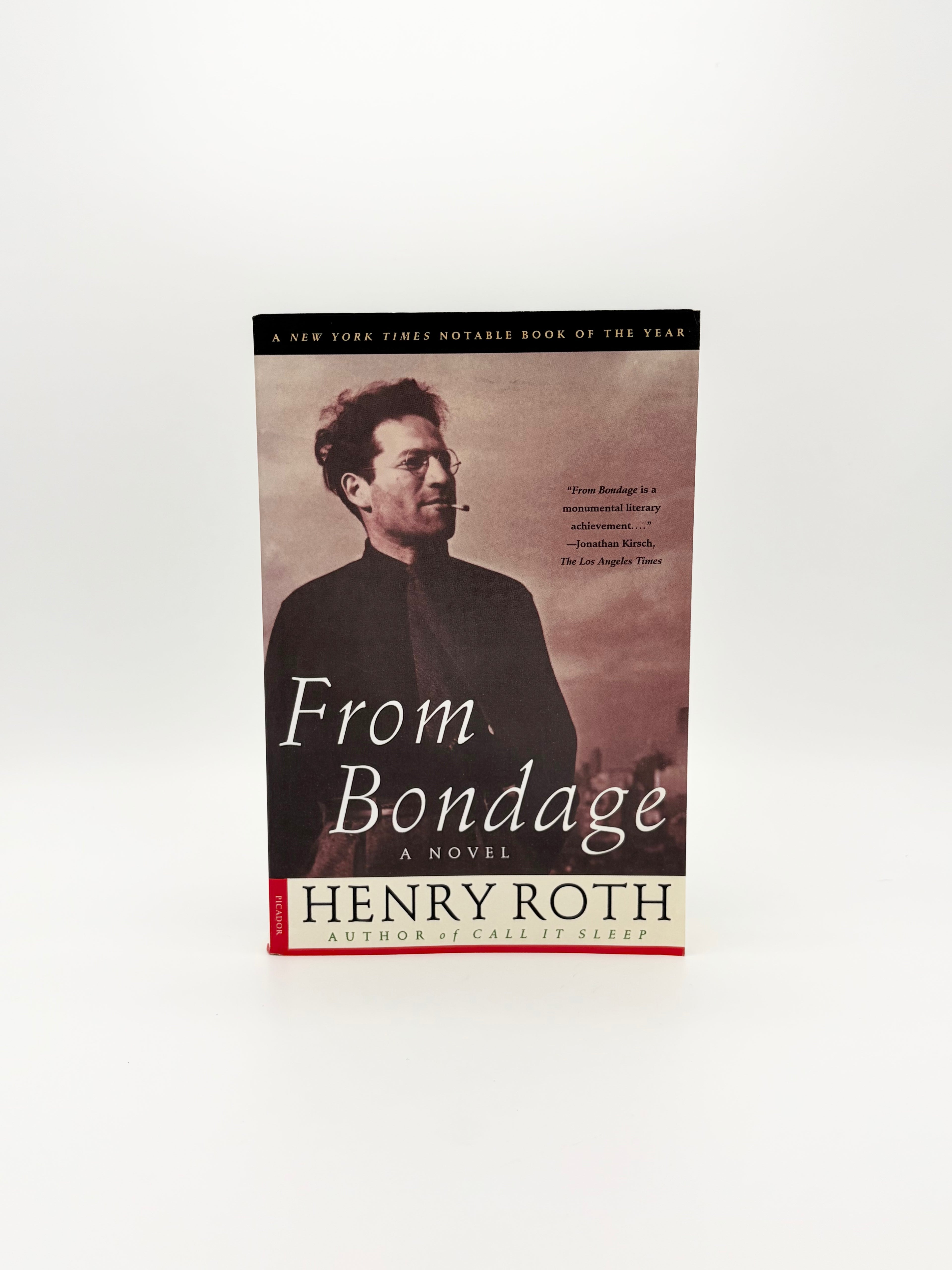 Mercy of a Rude Stream by Henry Roth