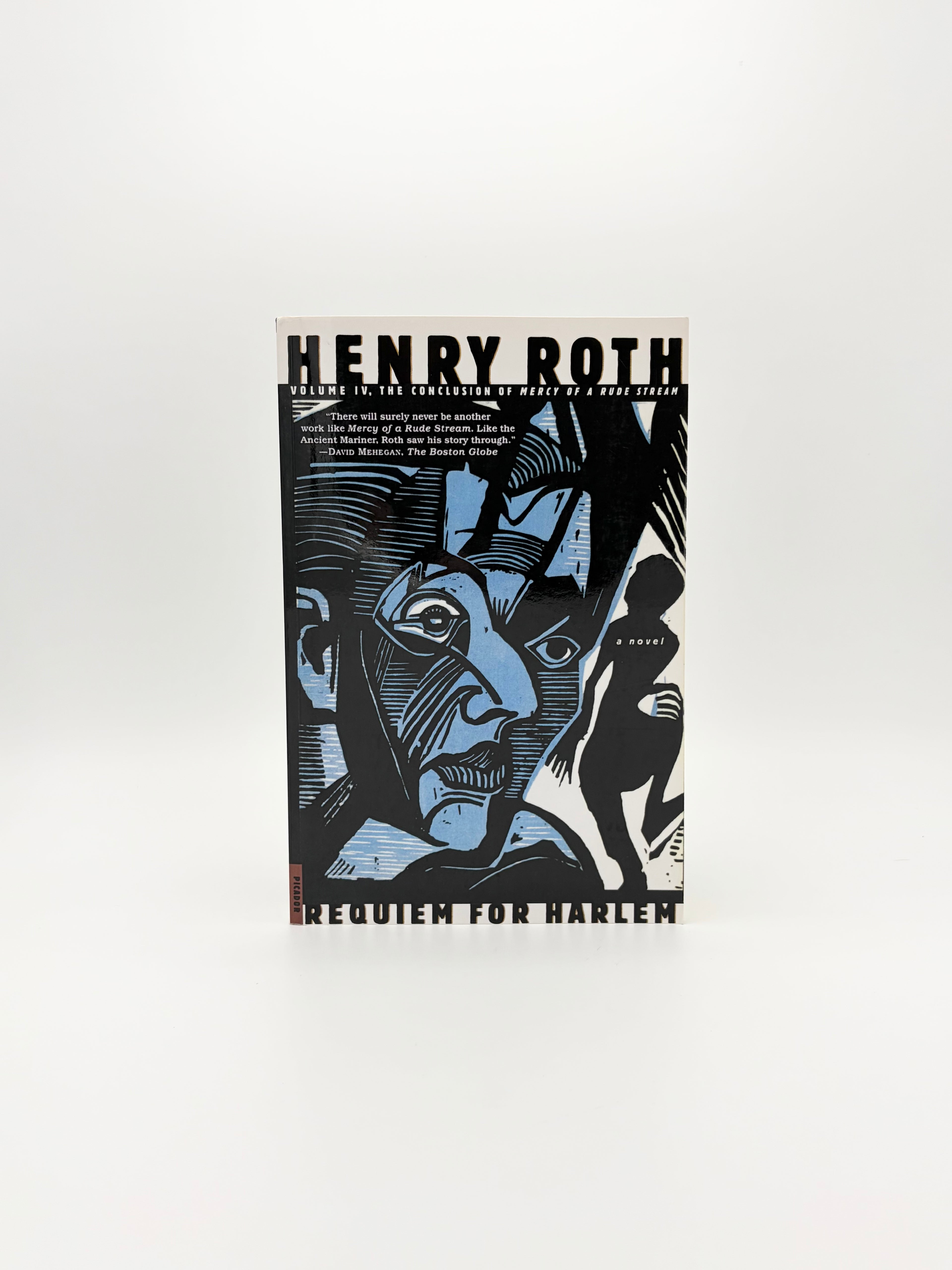 Mercy of a Rude Stream by Henry Roth