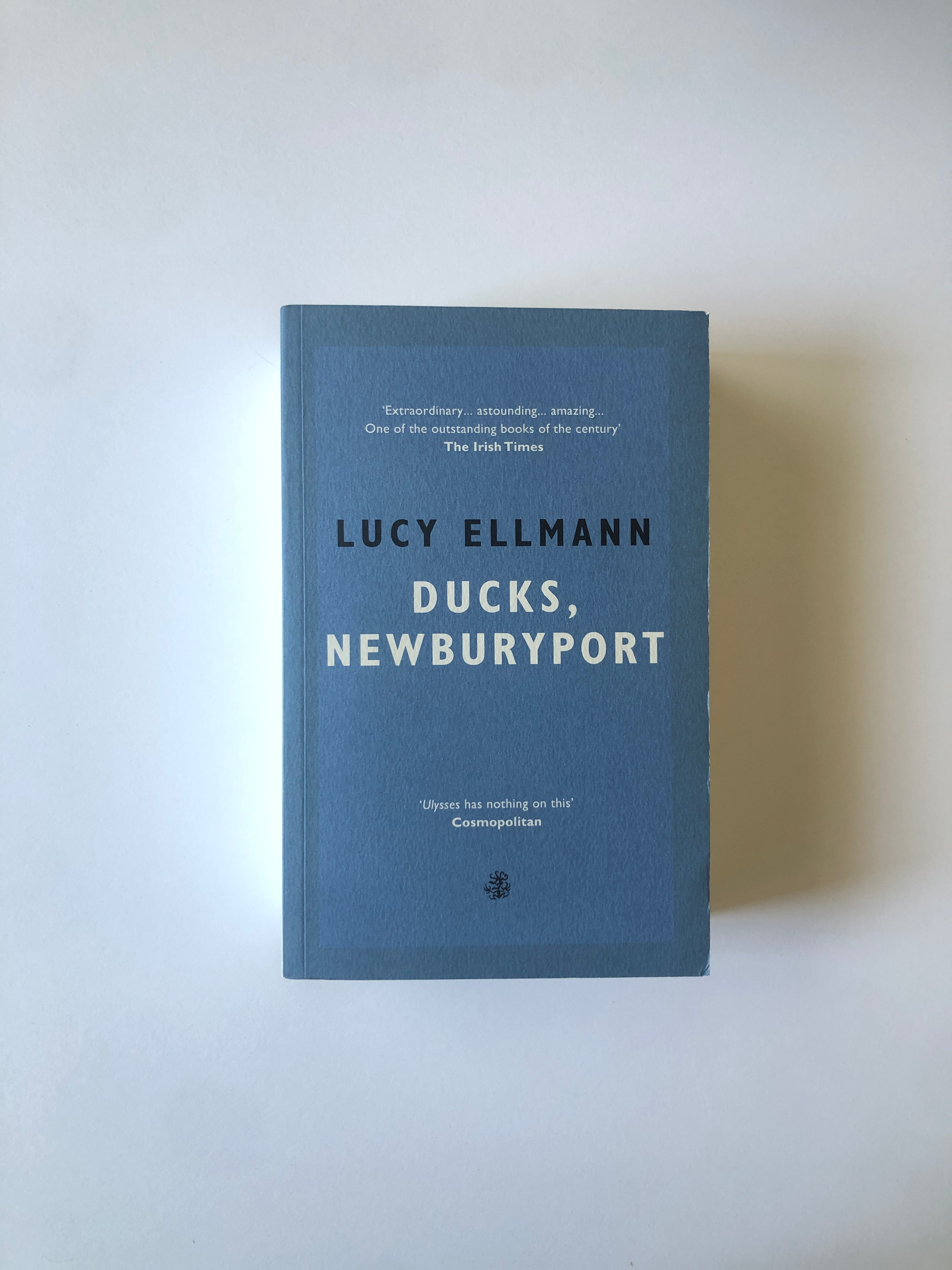 Ducks, Newburyport by Lucy Ellmann