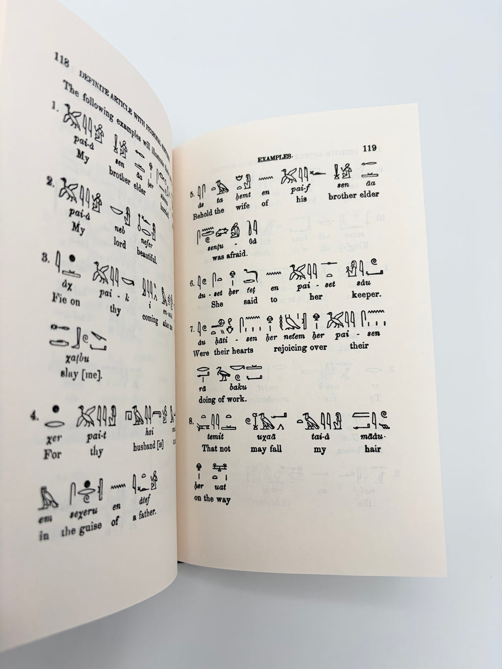 Egyptian Language - Lessons in Egyptian Hieroglyphics by Sir E.A. Wallis Budge