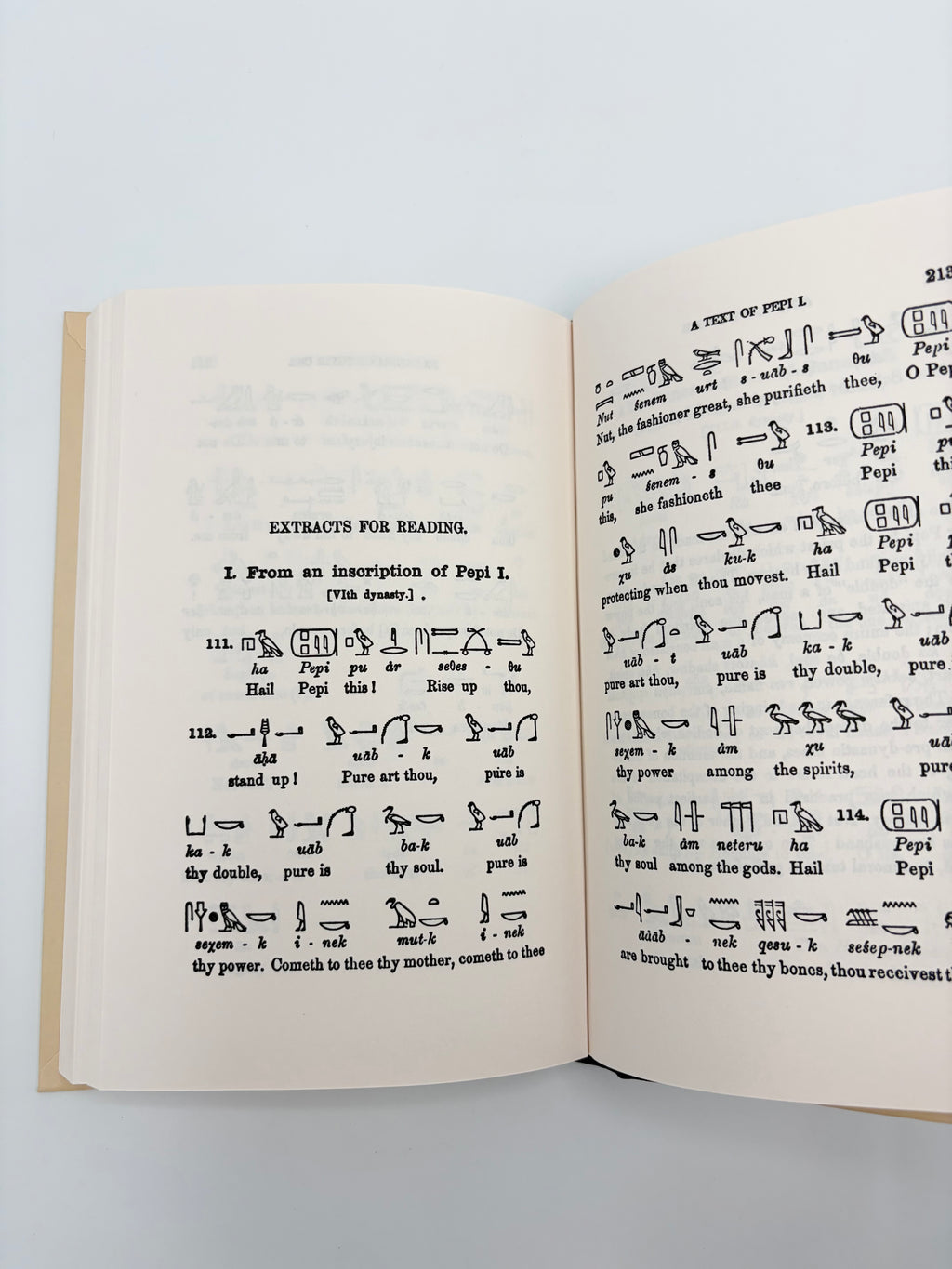 Egyptian Language - Lessons in Egyptian Hieroglyphics by Sir E.A. Wallis Budge