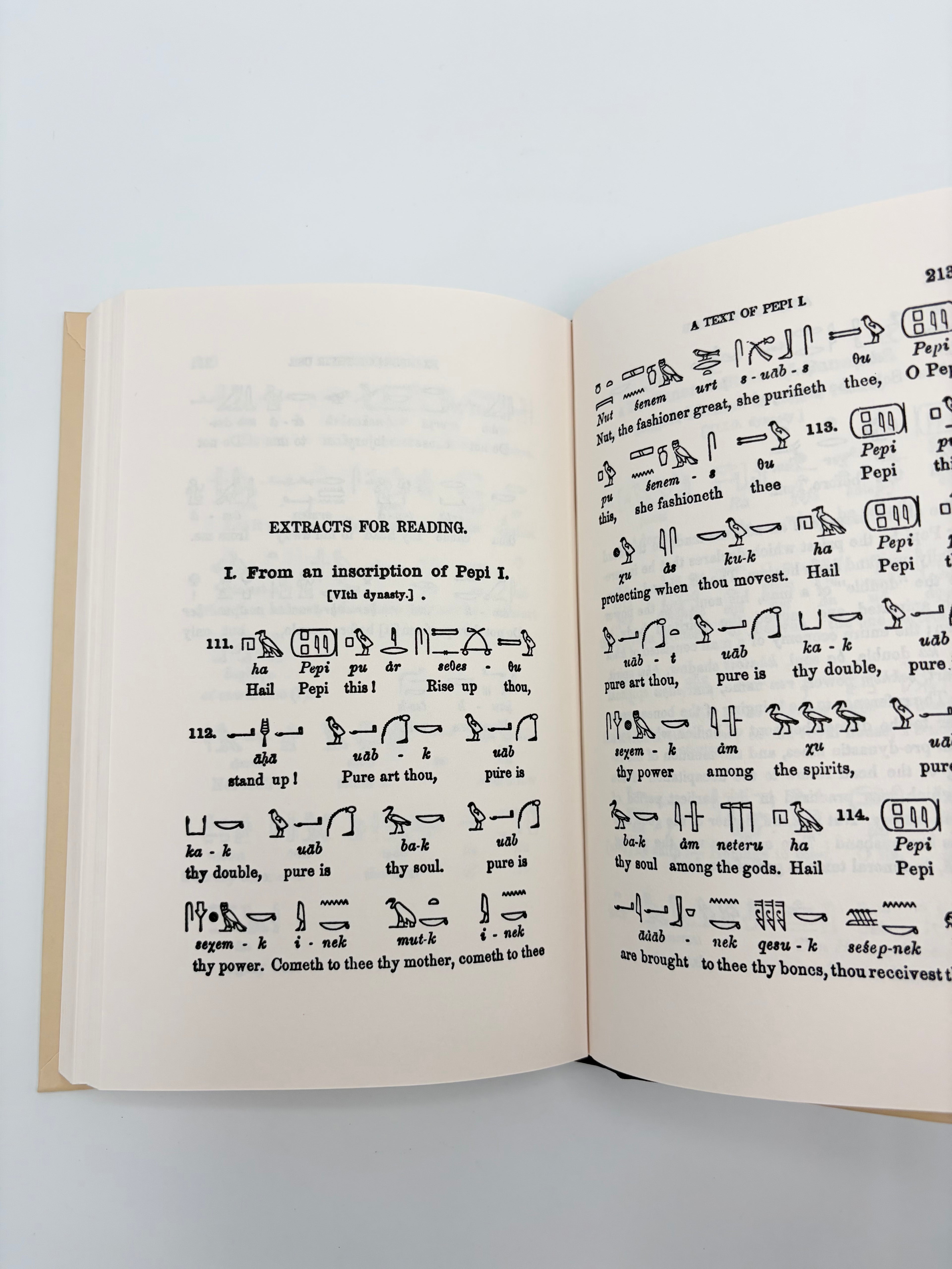 Egyptian Language - Lessons in Egyptian Hieroglyphics by Sir E.A. Wallis Budge