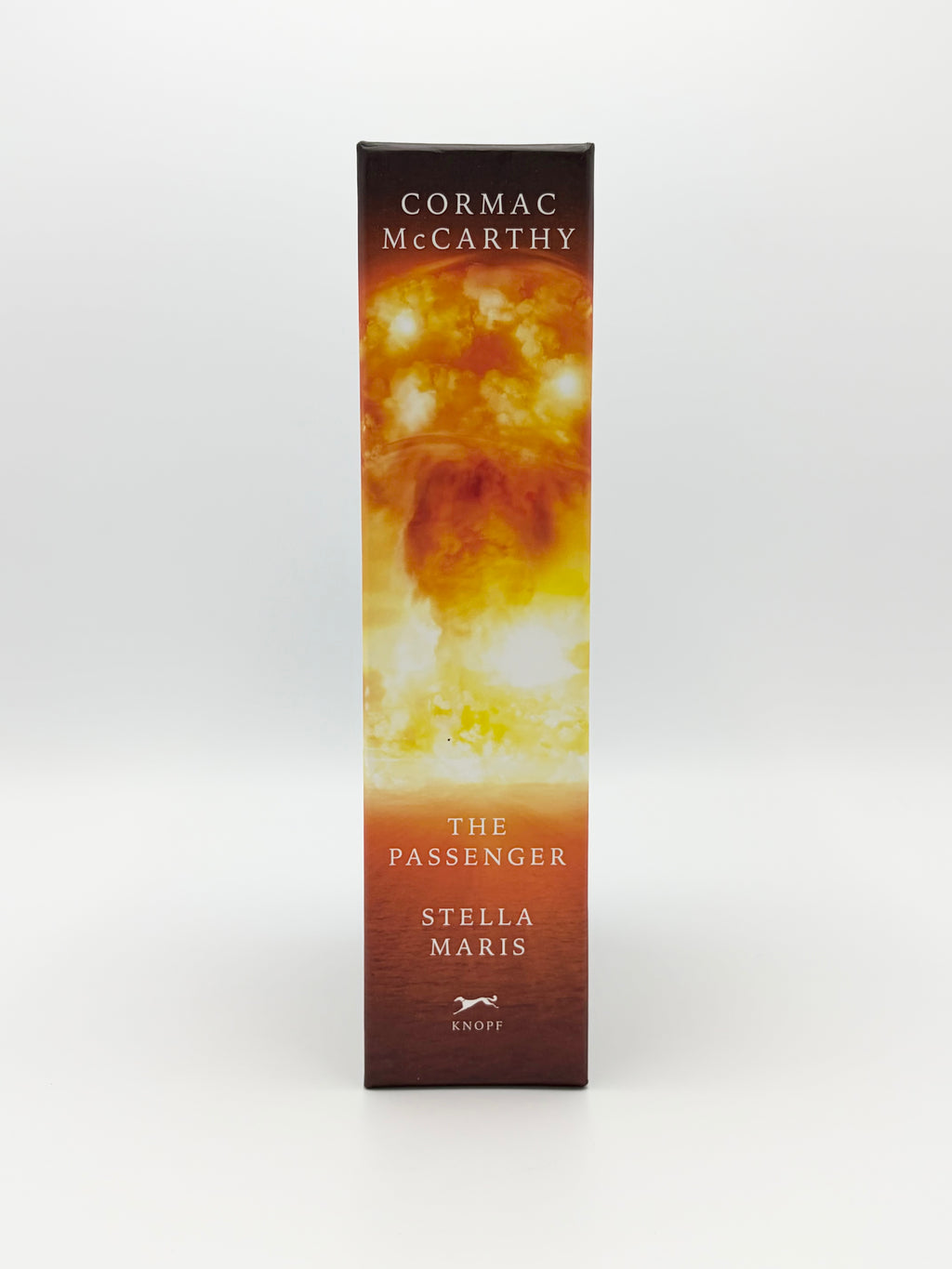 The Passenger and Stella Maris by Cormac McCarthy